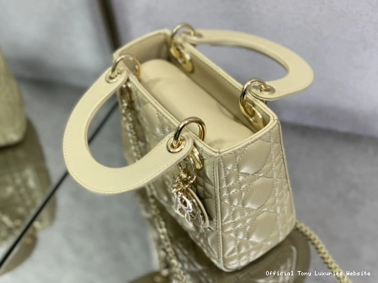 Tony Luxuries LADY diro-17CM 0805